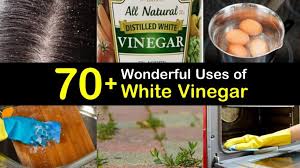 Not only can you clean your bathtub and shower with vinegar, but you can also use it as part of a homemade hot tub filter cleaner to get rid of debris and to sanitize the. 70 Wonderful Uses Of White Vinegar