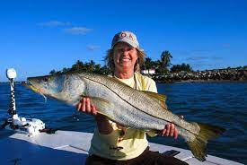 The Indian River Lagoon Florida S Fishing Trifecta Indian River Lagoon Indian River Florida Indian River
