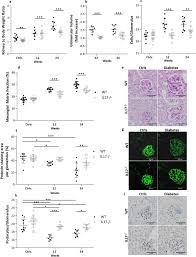 Fresh meat, poultry, fish and seafood. Interleukin 17a Promotes Diabetic Kidney Injury Scientific Reports