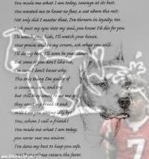 Pin On For The Love Of Animals 3