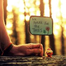 I Am The Lorax I Speak For The Trees Original You Don T Know What You Ve Got Till It S Gone The Lorax Amazing Photography Words