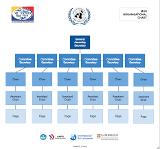 Model Un Organizational Chart 2014 15