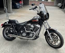 Image result for Vivid Black 1993 FXR