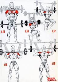 Check This Effective Workout Program Like And Share