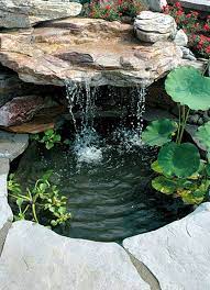Pin On Garden Ideas