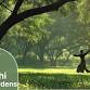 Tai Chi in the Gardens