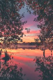 Autumn Morning Lights By Denny Bitte In 2020 Autumn Morning Landscape Gorgeous Sunset