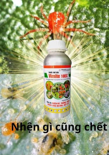 Vimite 10EC