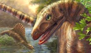 Par intalnite la mamiferele moderne: DescoperÄ Totul Despre Dinozauri