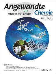 Why is good money thrown after bad?, boston college working papers in economics 347., boston. Angewandte Chemie International Edition