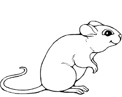 Book Mouse Coloring Pages Coloring Pages Animal Coloring Pages Cool Coloring Pages