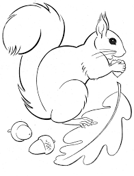 Welcome back the warm weather with these spring coloring sheets. Squirrel Coloring Pages 100 Images Free Printable