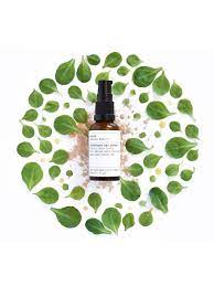 Evolve Organic Beauty Superfood 360 Serum 30ml Organic Beauty Beauty Products Photography Cosmetics Photography