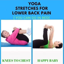 Pin On Back Pain