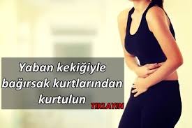 Bagirsak Paraziti Nasil Gecer Bitkisel Yontemler Skin Care Health Health Fitness