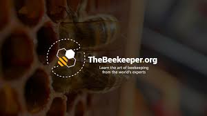 Beginner Beekeeping Course (EUR)