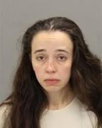 Ann Arbor woman accused of embezzling $61K may get plea deal