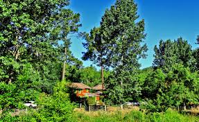 Accommodation In Les Landes Cottages Villa In Messanges