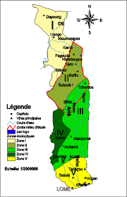 Image result for Sherbournia bignoniiflora