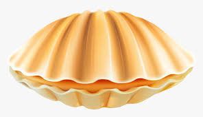 Is she still a mermaid? Shell Png Clip Art Clam Shell Png Transparent Png Transparent Png Image Pngitem