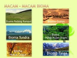Check spelling or type a new query. Bioma Adalah Ekosistem Besar Dengan Daerah Luas Terdiri Dari Flora Dan Fauna Yang Khas Bioma Merupakan Ekosistem Ekosistem Yang Terbentuk Karena Ppt Download