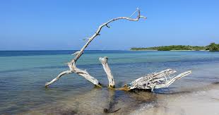 Save time and money with our best price guarantee ▻ make the most of your visit to quintana roo! Sian Ka An Biosphere Reserve Mexico Video Happier Place