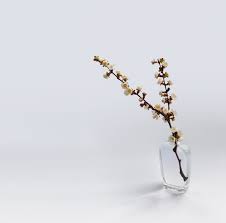Use clean, room temperature water for your cut flowers. Tips To Make Cut Flowers Last Longer South Coast Sun