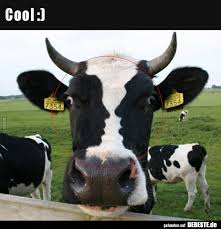 | funny pictures, sayings, jokes, really funny Cool Lustige Bilder Spruche Witze Echt Lustig
