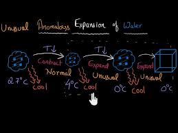 Anomalous Expansion Of Water: A Home Experiment - 725 Words | Report Example