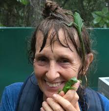 Has the Green Iguana Conservation Project changed?