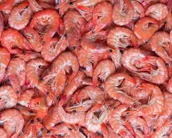 Then you can serve the shrimp or store them. Can Pregnant Women Eat Shrimp And Prawns Find Out Here Pregnancy Food Checker