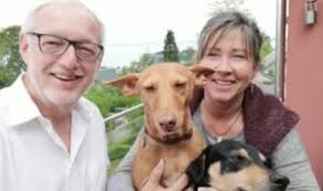 Jason Benz, Autor bei Hundehilfe Motril