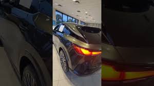 Image result for Nori Green 2025 LZ