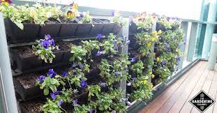 Maybe you would like to learn more about one of these? Creative Ideas To Grow A Vertical Garden In Your Small Space