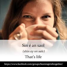 Irish Session-Reading