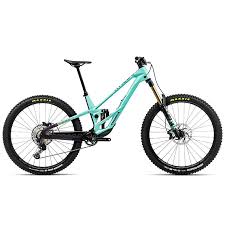 Image result for Orbea knobelii