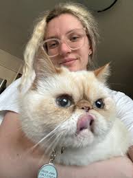 Room for rent in downtown Edmonton near NAIT?