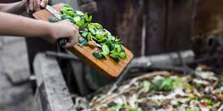 Daun yang mengering dan mudah hancur hanya menyisakan kandungan organik yang sangat sedikit. 8 Langkah Sederhana Membuat Kompos Sendiri Di Rumah Halaman All Kompas Com