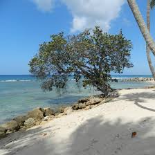 Spring grove, mn 55974 united states. Spring Grove Cinema 2021 All You Need To Know Before You Go Tours Tickets With Photos Tripadvisor