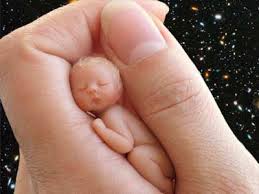 Pentru orice nelamurire cere sfatul. ConcepÅ£ia Si Dezvoltarea Embrionului Sarcina Pe Saptamani Bebe Strumf