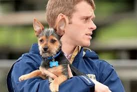 NJ Private School Teacher Jumps To Death Off GW Bridge