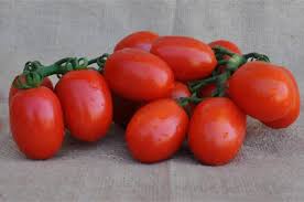 Image result for tomato Piccadilly