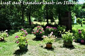 Urlaubsoase In Unserem Naturnahen Garten Garten Pflanzen Naturnaher Garten