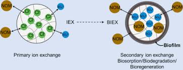 The inmusic profile is where you can register products, download software titles, and access exclusive. Biological Ion Exchange As An Alternative To Biological Activated Carbon For Drinking Water Treatment Sciencedirect