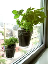 window herb garden, window planters