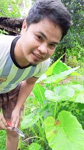 mekilawita Gabi di mahatel, Gempya sisselem to halinen., #subanendialec ,  #viralvideoシfyp