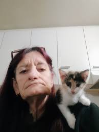 This is Izzy. We love her so much but we don't see her much because she  goes out hunting she lo es cuddles and kisses and she's such a loveable  cat. ❤️❤️❤️😻😻😻 |