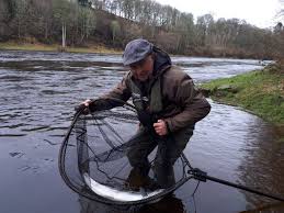 BETTER CONDITIONS LEAD TO THE MOST PRODUCTIVE WEEK OF THE SEASON SO FAR ON  THE TAY SYSTEM!