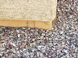 We are a pest control and termite control company we do residential pest control as well as commercial pest control in the eustis fl area. Above Beyond Pest Elimination Tucson Az Pest Control Mapquest