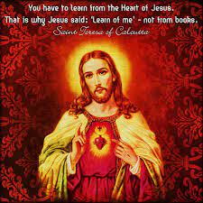You Have To Learn From The Heart Of Jesus That Is Why Jesus Said Learn Of Me Not From Books Saint Quotes Catholic Saint Teresa Of Calcutta Saint Teresa